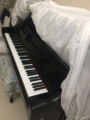 真实质量反馈Palatino帕拉天奴钢琴怎么样？评价好吗？