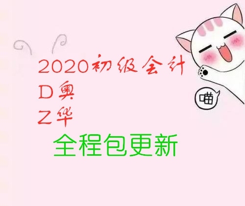 《2020初级会计师》