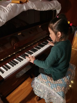 真实质量反馈Palatino帕拉天奴钢琴怎么样？评价好吗？