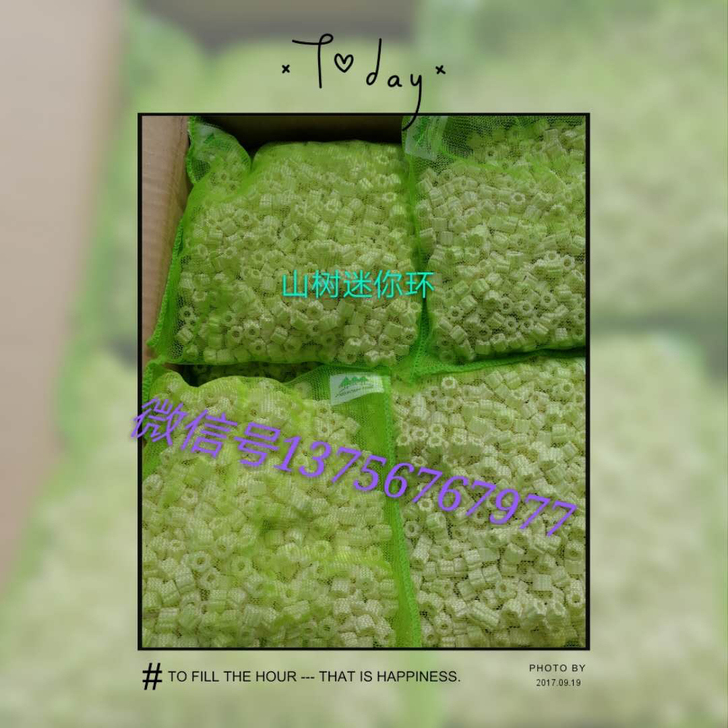 山树迷你环550g