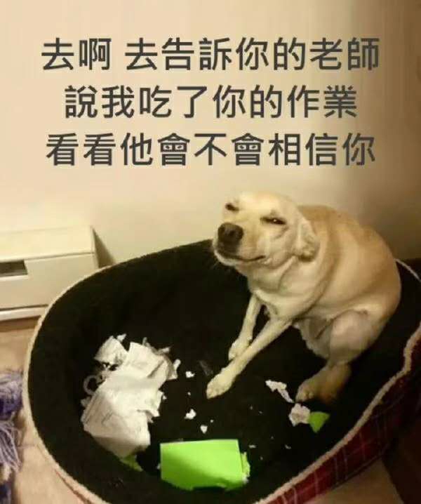 宋超，懂的来