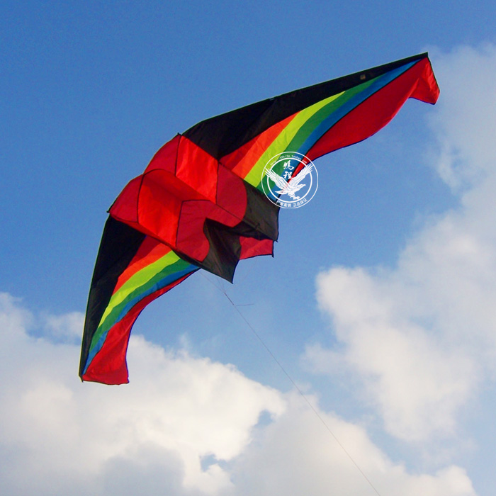 Weifang Pengcheng 3 Air Glider kite wholesale three-dimensional aircraft kite tailin the Sports/Yoga/Fitness/Fans supplies , Shuttlecock/Diabolo/Folk movement , Kite , Kite category - from Buy2taobao.com to provide professional Taobao agent buy service