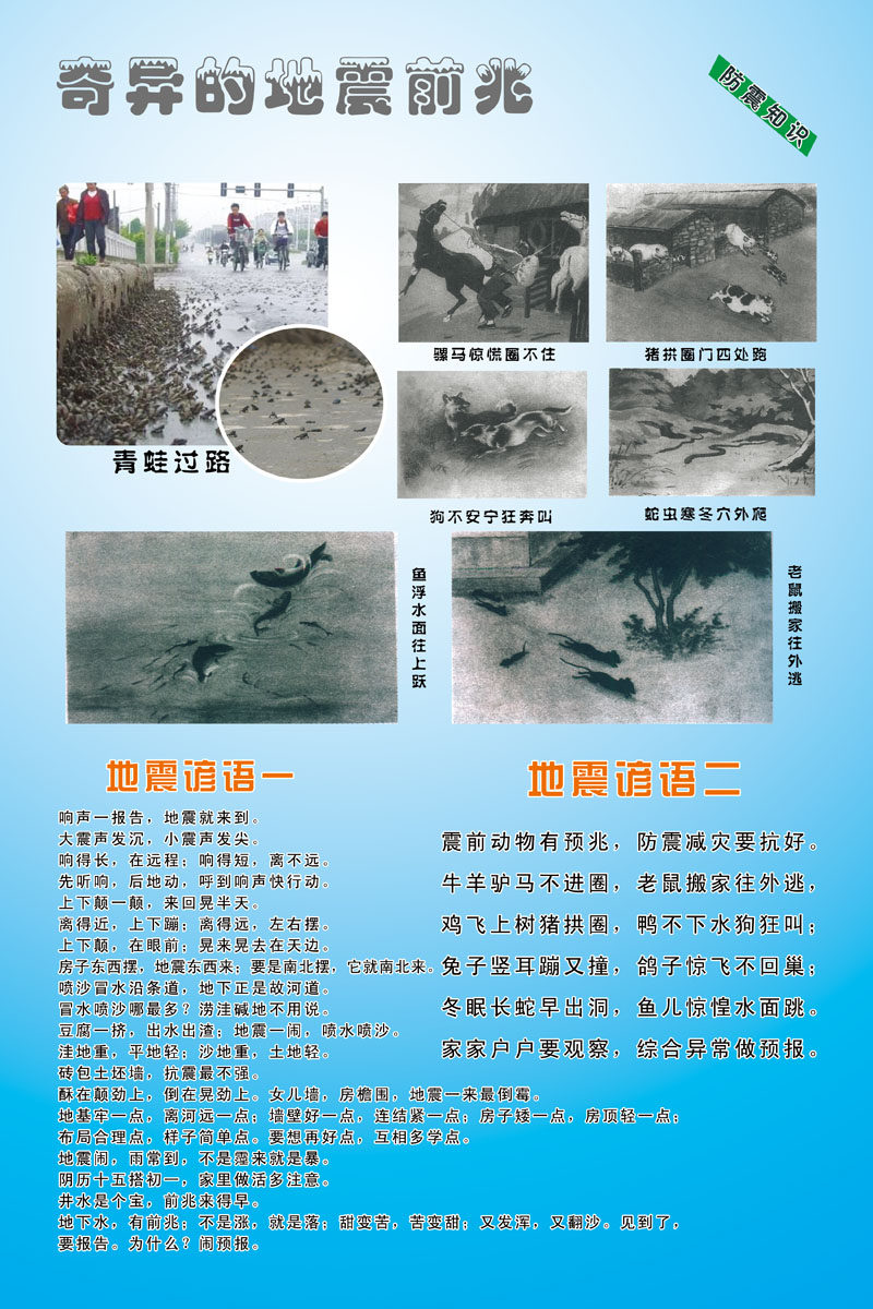 展板素材网站建设_(展板设计网站有哪些)