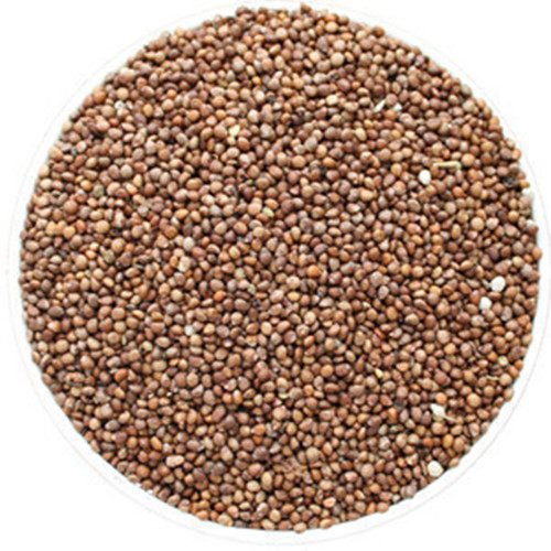 中药材紫苏苏子麻子500克其他药食同源食品