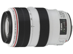 Canon/佳能 EF 70-300mm f/4-5.6L IS USM 单反镜头 远摄长焦正品