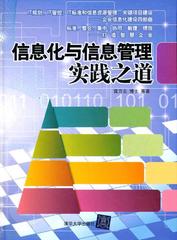 正版 lzl  信息化与信息管理实践之道 雷万云 清华大学出版社