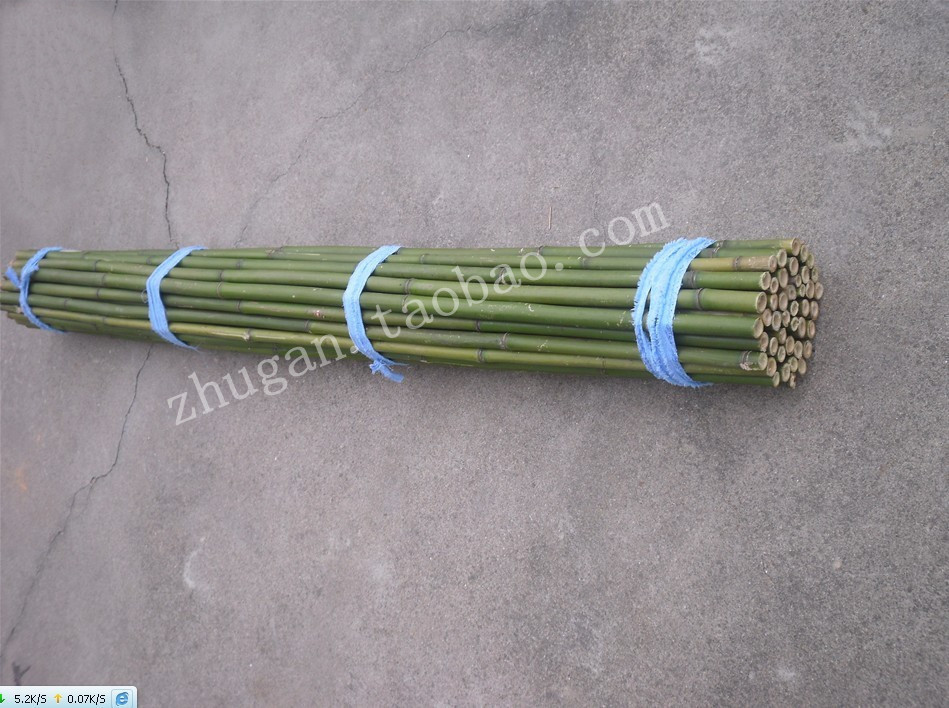 Homegrown large Bamboo fence fence Bamboo fence bamboo Bamboo Pleioblastus advertisement Knife flag flagpolein the Flower delivery/Flowers simulation/Plants gardening , Gardening supplies , Large fence/Fences category - from Buy2taobao.com to provide professional Taobao agent buy service