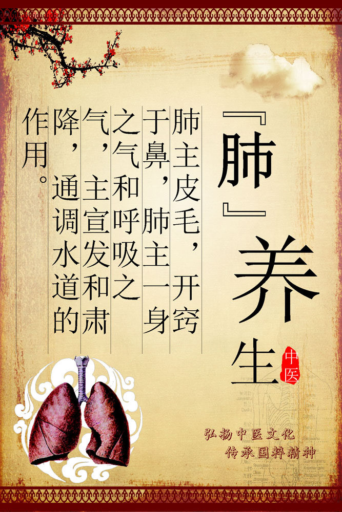 海报印制展板素材中医文化国粹精神肺部养生写真