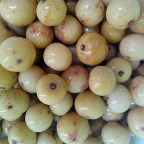 公鸡食品 崇明甜包瓜 优质无添加 下饭菜 500g 厂家