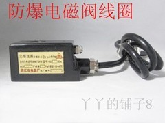 电磁阀线圈  防爆电磁阀线圈 16mm 13mm AC220V DC24V现货 带证书