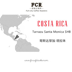 FCR哥斯达黎加SHB咖啡豆227g/原装进口无糖烘焙现磨咖啡粉 包邮