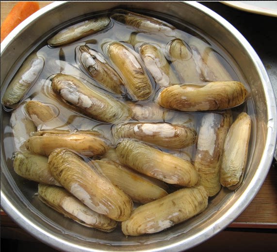 海贝鲜活海鲜新鲜大海野生双头蚬刀500g顺丰蛏子