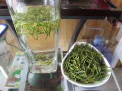 2016新茶安吉白茶 珍稀 绿茶 茶叶 特级 有机绿茶 50g包邮