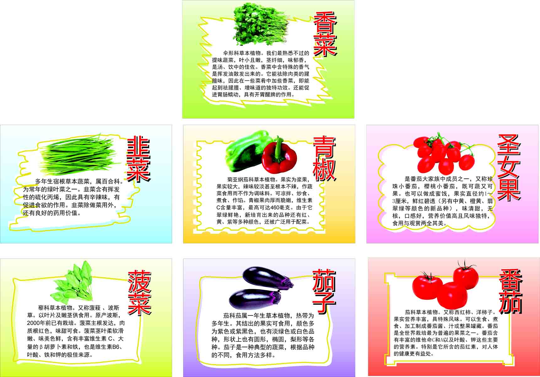 海报常识印制素材其它展板1206蔬菜写真
