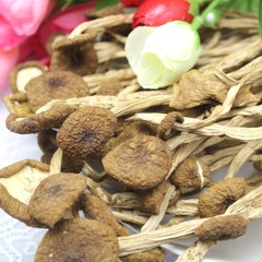 【永福元】厂家直销 特产批发 江西黎川 茶树菇100g4包 包邮