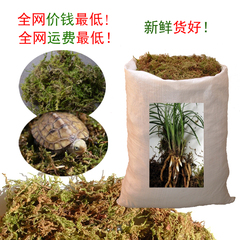 干水苔苔藓青苔 1公斤兰花蓝莓石斛栽培基质乌龟保湿宠物龟蛇垫材