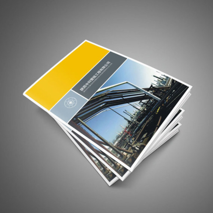 企业画册印刷宣传册公司样本广告设计制作传单彩印封套图册