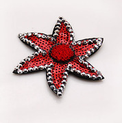 Post Korean version of smile package Starfish rhinestone magic post posting bang stick headdress Korea hair accessories jewelry