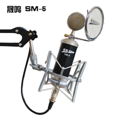 晟鸣 SM-5 电容麦克风  电脑网络K歌声卡录音设备套装话筒