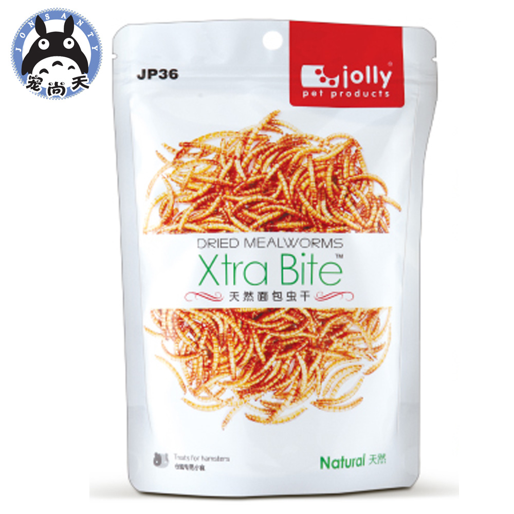 金丝熊的饲养方法 | 金丝熊怎么养_金丝熊用品