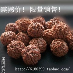 精挑！金刚菩提子精选原籽六瓣矮桩 手串手链 散珠批发大金刚佛珠