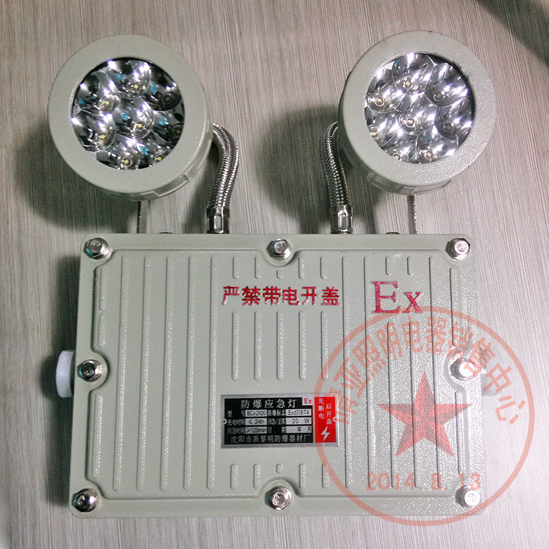 新黎明双头防暴应急灯LED照明节能灯疏散指示标志灯灯具2*10W