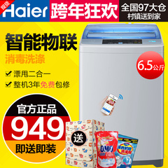 海尔洗衣机全自动家用6.5kg波轮单桶甩干Haier/海尔 EB65M2WHU1