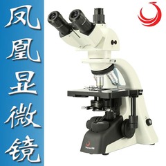 正品凤凰光学双目TV数码显微镜PH100-3A41L-EP1600倍专业生物探索