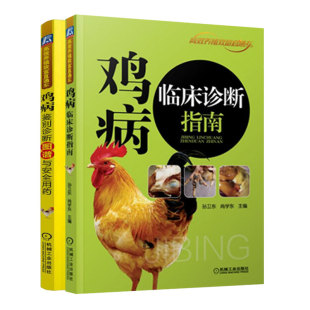 养鸡技术大全 2本套装 常见鸡病诊治鸡场兽医科学饲养教程 鸡病防治疗