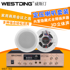 WESTDING/威斯汀 W2吸顶喇叭功放套装 背景音乐天花吊顶定压喇叭