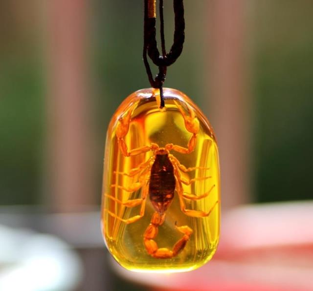 新款大琥珀蝎子王项链真昆虫标本个性吊坠创意礼物真男人饰品包邮