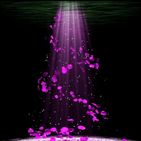 江南水乡水车芦苇渔船 浪漫婚礼LED大屏幕视