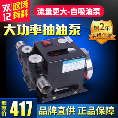 绿一抽油泵12V/24V/220v大流量直流柴油泵加油泵抽油器电动抽油机