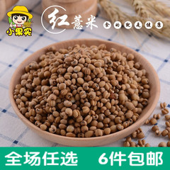 新货红薏米仁 特级小薏仁米苡仁  炒红豆薏米茶祛湿粉原料 250g