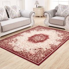 可水洗丝毛地毯客厅沙发茶几卧室地毯飘窗床边毯满铺榻榻米可定制