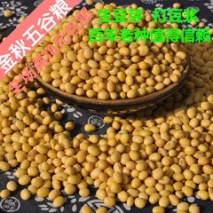 农家自产黄豆 土黄豆 打豆浆 发豆芽专用非转基因大豆250g