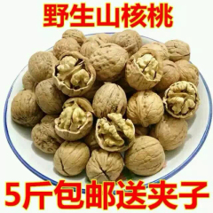 农家自产野生山核桃 孕妇零食坚果特产 非纸皮薄皮生核桃 原味500