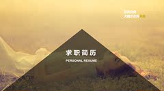 五百丁PPT简历模板 PPT模板 个人求职简历模板PPT0034（9P）