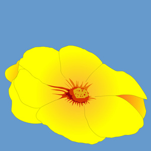 一朵花开的过程花朵绽放手绘逐帧动画源文件flash