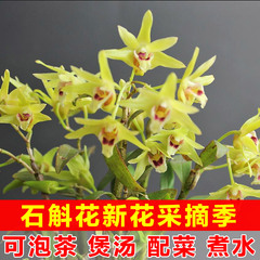 【买2送1】山葛老 霍山铁皮石斛干花茶铁皮石斛枫斗鲜条石斛花