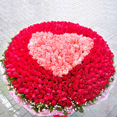 999朵红玫瑰365朵520朵白玫瑰999朵生日求婚花束郑州鲜花当天速递