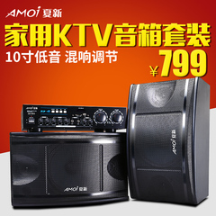 Amoi/夏新 SA-893专业KTV音响10寸卡拉OK家用会议大功率K歌音箱