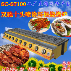 SC-ST100小十头烧烤炉；燃气 喷涂烧烤；烤猪蹄气烤炉；