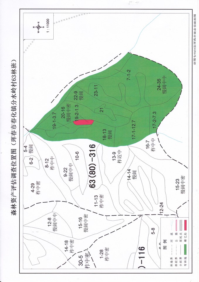 【变卖】珲春市春化镇分水岭林地