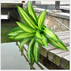 仿真巴西叶植物 仿真叶 假花 花艺 仿真花 仿真植物 园林植物