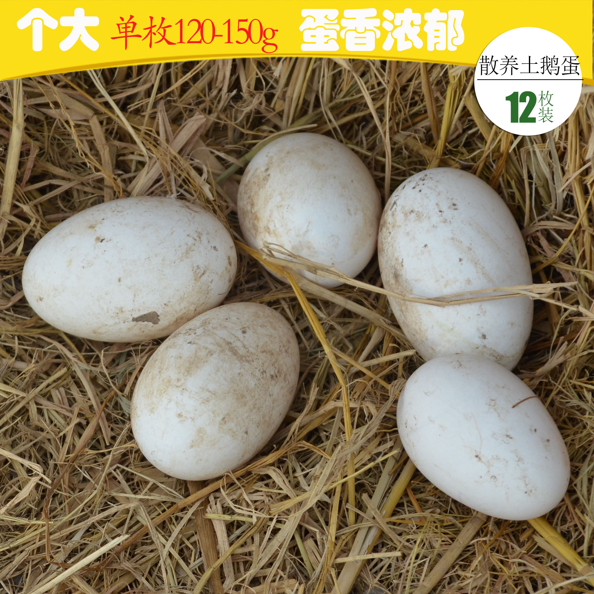 鹅蛋农家 12枚装 新鲜大白鹅大鹅蛋草鹅蛋（每枚净重100-120g）