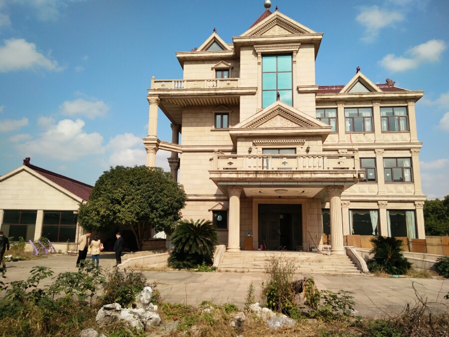 【第一次拍卖】位于苏州市吴江区桃源镇桃花苑别墅区(群益村,震桃公路