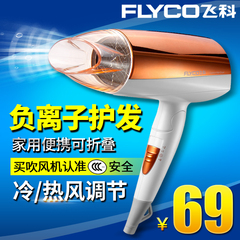 flyco/飞科 正品可折叠大功率负离子吹风筒 冷热风电吹风机FH6660