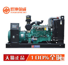 广西玉柴 200KW 柴油 发电机组 工业用电 备用电源 品质保证 联保