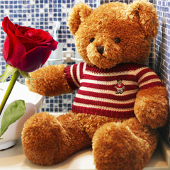 泰迪熊公仔抱枕大号布娃娃抱抱熊玩偶熊猫毛绒玩具生日礼物送女生